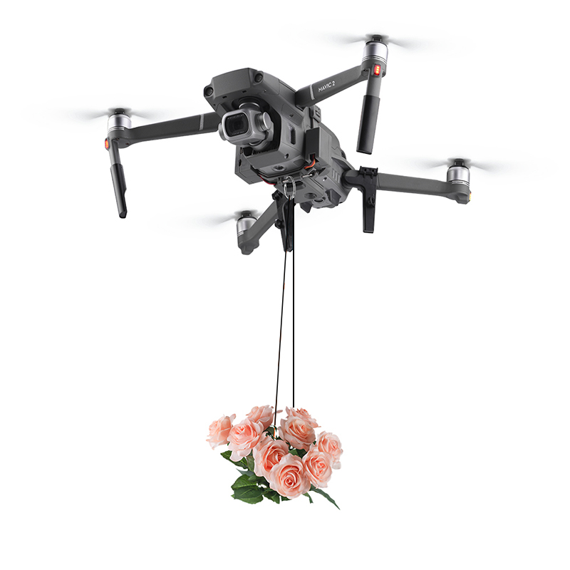 Система каплевидной подарочной – обзор и цена Dji Drone Mini 4 Pro